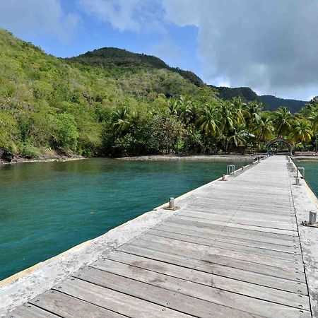 Ferienwohnung Les Hibiscus L'Anse Noire Exterior foto