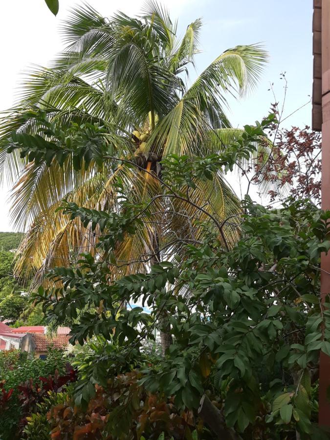Ferienwohnung Les Hibiscus L'Anse Noire Exterior foto